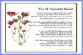 The Heart Of Family: Understanding The Role Of A Loving Aunt